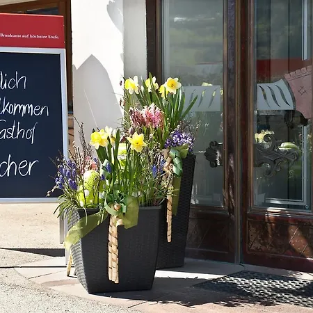 Gasthaus Bacher 3* Sankt Johann im Pongau